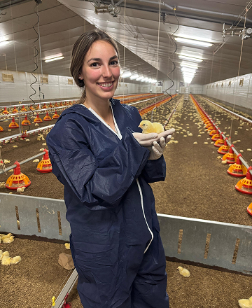Trabajador de Arpisa