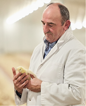 Trabajador de Arpisa