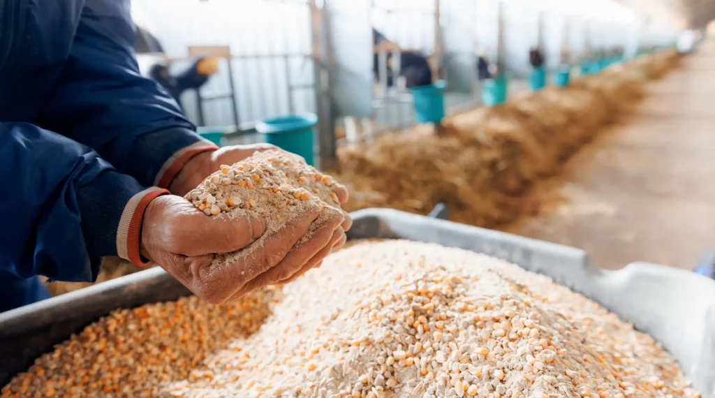 Fábrica de Piensos Arpisa