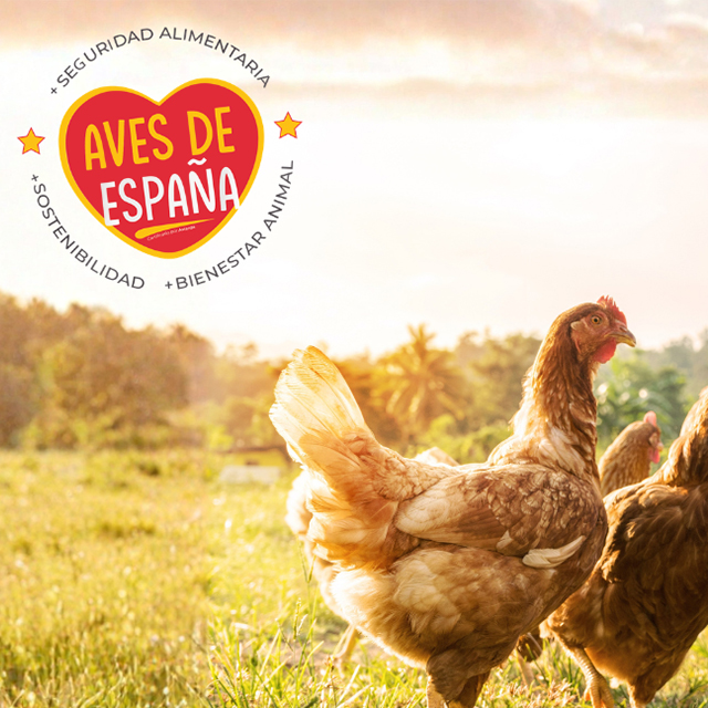ARPISA forma parte del programa “Aves de España”