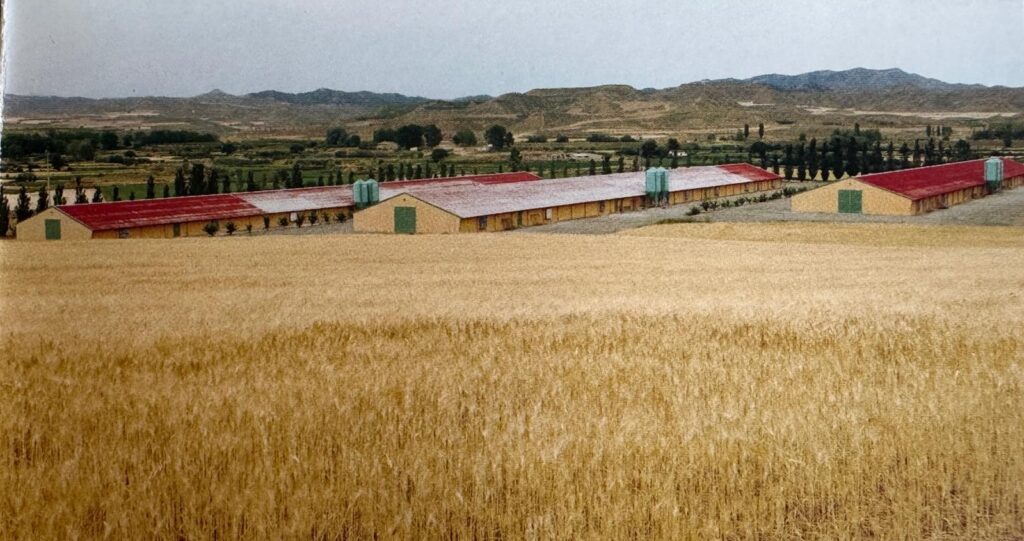 Granjas reproductoras Arpisa